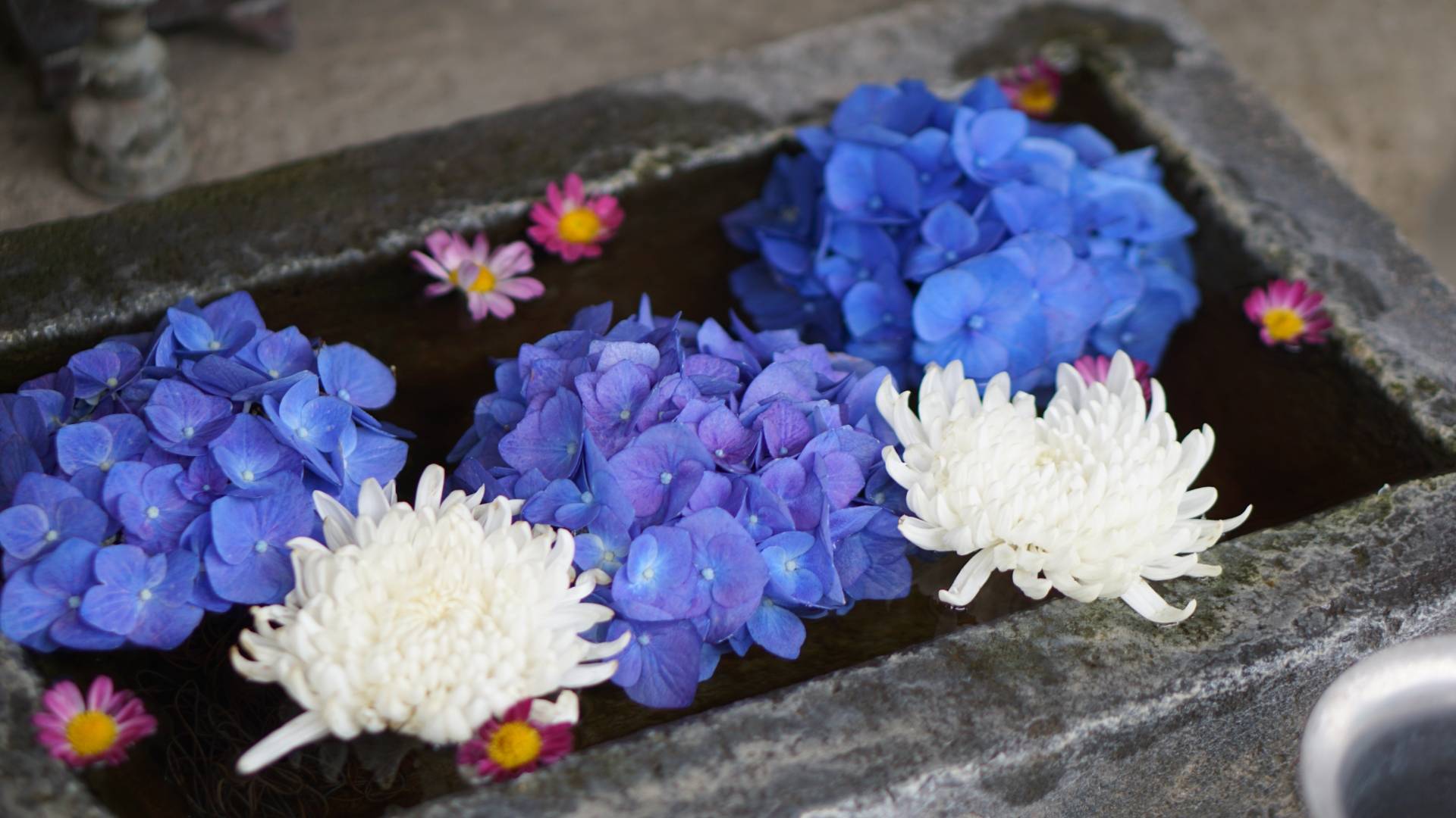 西往寺 花手水